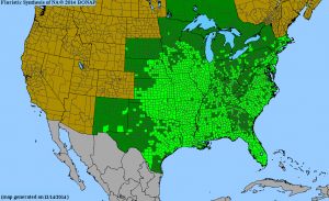 Map of the range of the Partridge Pea
